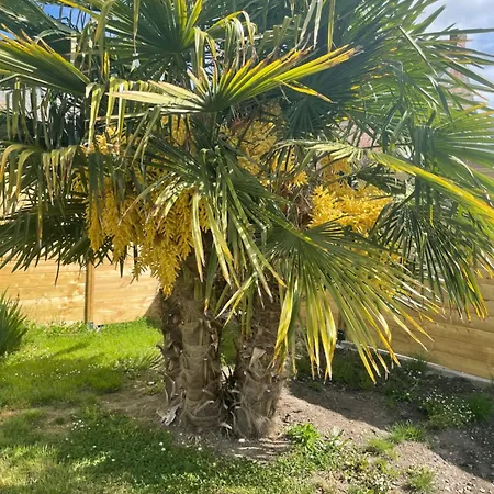 Holiday home Les Eaux Du Moulin Piscine Chauffee Et Jacuzzi *