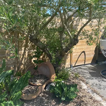 Les Eaux Du Moulin Piscine Chauffee Et Jacuzzi *