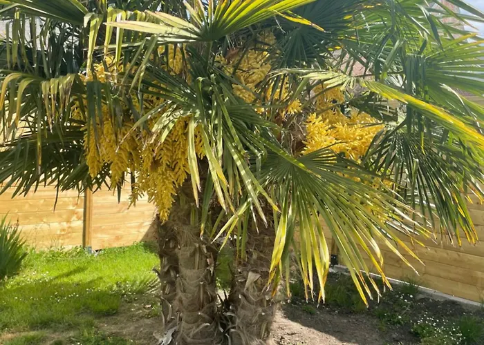 Holiday home Les Eaux Du Moulin Piscine Chauffee Et Jacuzzi *