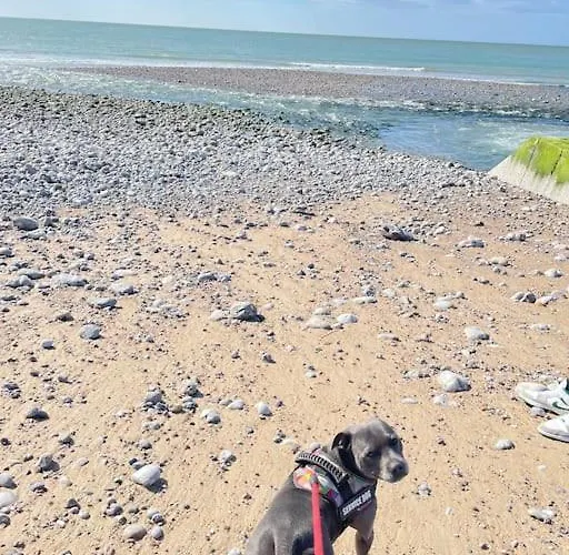 Les Eaux Du Moulin Piscine Chauffee Et Jacuzzi